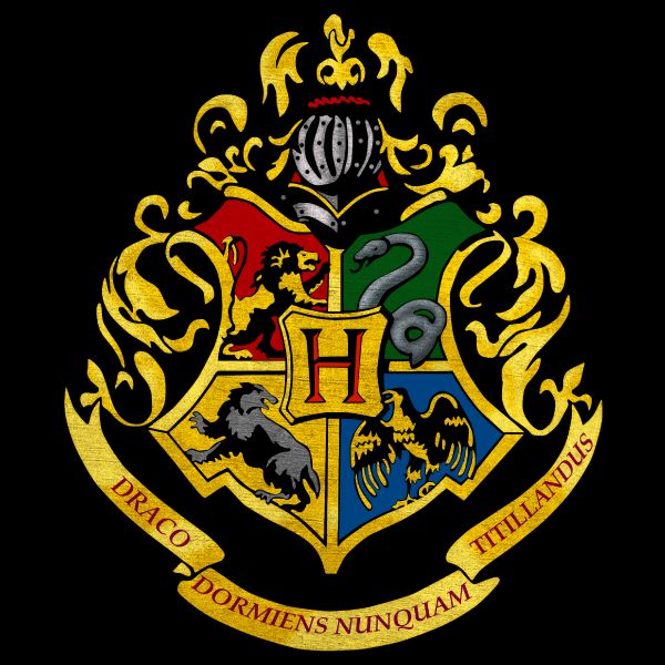 what-hogwarts-house-are-you-in-quiz