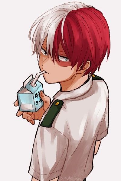 Are You Todoroki's Girlfriend - Quiz