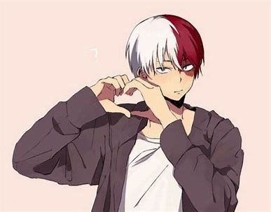 Hearts( Shoto Todoroki X OC