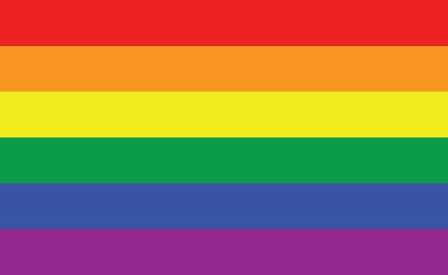 How Well Do You Know These LGBTQ+ Pride Flags? Test