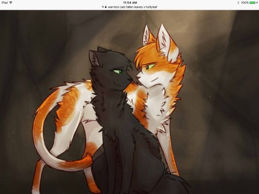 Hollyleaf X Fallen Leaves Warriors Ships