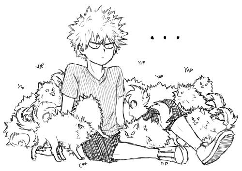 My Angry Pomeranian | My Angry Pomeranian (Bakugo x reader)