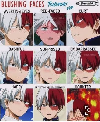 How much do you know about Shoto Todoroki! - Test