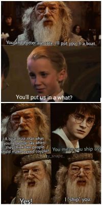 I Ll Put You In A Boat Harry Potter Memes