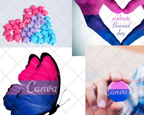 Bisexual Aesthetic Dumb Shit I Found In My History
