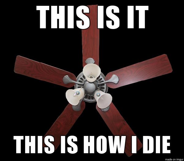 Does my ceiling fan approve of you? Quiz