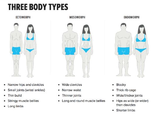 your body type quiz v shred