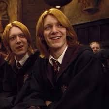 Which Weasley Twin Is For You? - Quiz