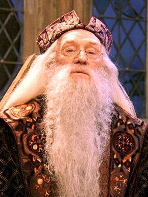 q posket dumbledore