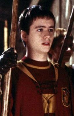Twenty Four Oliver Wood Harry Potter One Shots