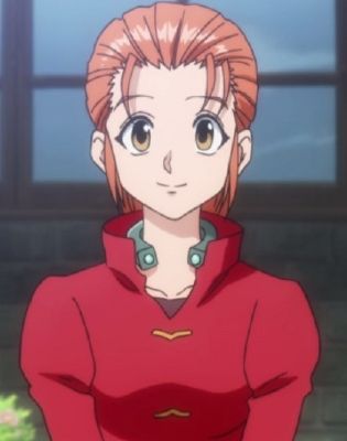 How much do you know about Hunter x Hunter [Spoilers] - Test