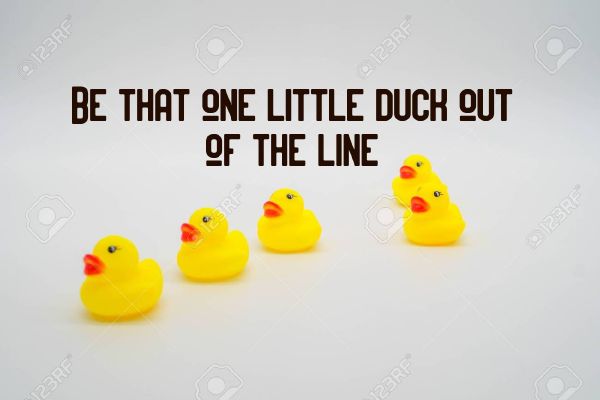 Ducks Out Of Line Quotes Created By Us