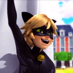 Chat Noir Quizzes