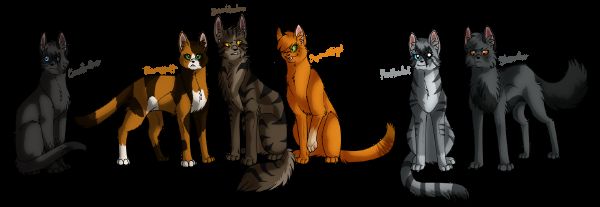 Which Warrior Cats 'New Prophecy' Character Are you? - Quiz