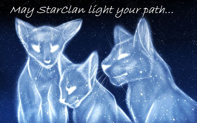 StarClan giving the Clans the warrior code (Requested by: Frostkat ships  ShadowxRoot passionately) | Warrior cats spoofs