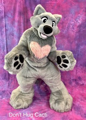 What kind of Fursuiter are you? - Quiz