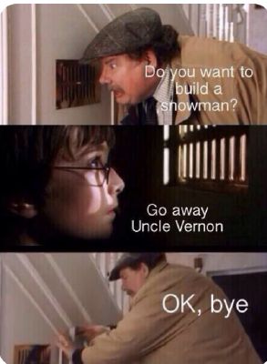 Do You Wanna Build A Snowman Harry Potter Meme Club