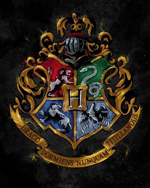 Which hogwarts house will you be in? - Quiz