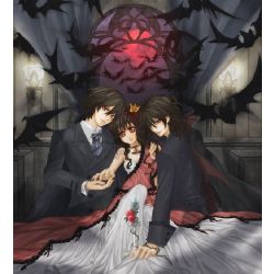 Newly Published Vampire Knight Stories