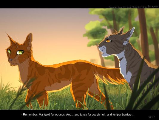 Would You Be a Good Warrior Cats Mentor? - Quiz