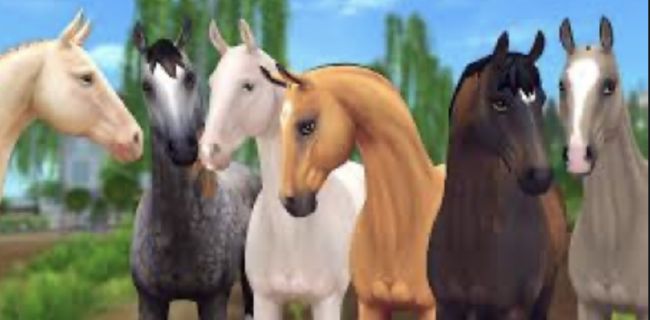 What Friesian are you in Star Stable? - Quiz