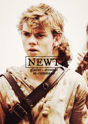 How well do you know Newt? - Test