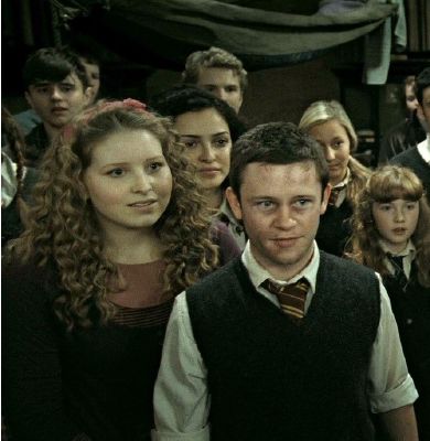 Harry Potter ships poll: Lavender Brown - Survey