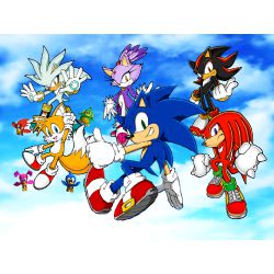 Sonic, metal sonic, tails, shadow, blaze, knuckles, cream, silver