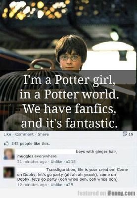 18 'Harry Potter' Memes That Muggles Thought Were The Best Of The Best In  2022