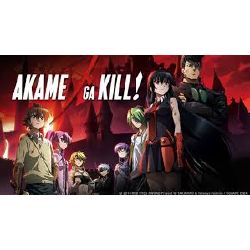 Anime] Akame Ga Kill Character Pick Quiz - By Yunnitrs_