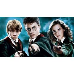 Pure blood, half blood, or muggle born - Quiz | Quotev