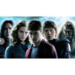 How well do you know Harry Potter? - Test | Quotev