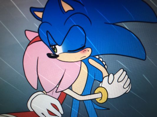 Amy - Sonic (Matching icons)  Sonic and amy, Shadow and amy, Sonic