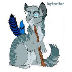 Examining Jayfeather and My Honest Opinion by Mistheart – BlogClan