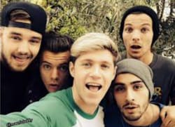 Which One Direction Member Is Your Soulmate? - Quiz | Quotev