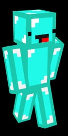 Guess Dream SMP Person by Skin - Test