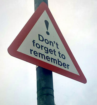 Which Brooklyn 99 Character Are You? - Quiz | Quotev