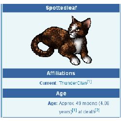 Redtail, Warrior cats Wiki