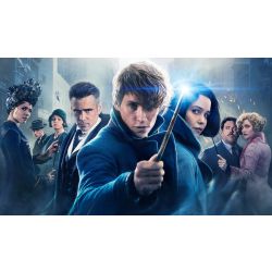 Which Fantastic Beasts Character Are You? - Quiz | Quotev