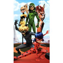 Which Miraculous Ladybug Character are you? - Quiz | Quotev
