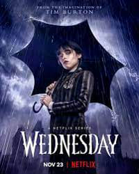 Funky MBTI in Fiction — The Addams Family: Wednesday Addams [INTJ]