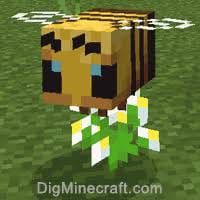 What Minecraft mob are you? - Quiz | Quotev