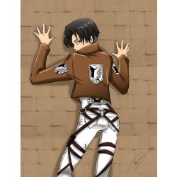 Attack on Titan/Shingeki no Kyojin~ An oc for AoT/SnK