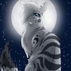 What is your Warrior Cat Name/Personality/Life?(FINISHED 15/12