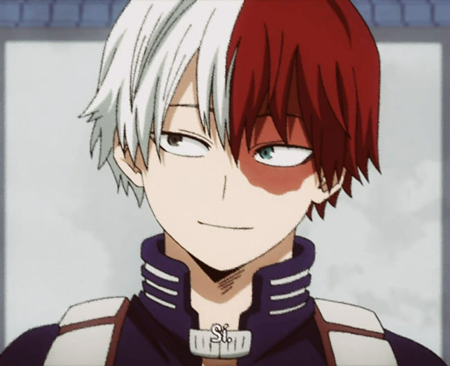 A Date with Todoroki - Quiz