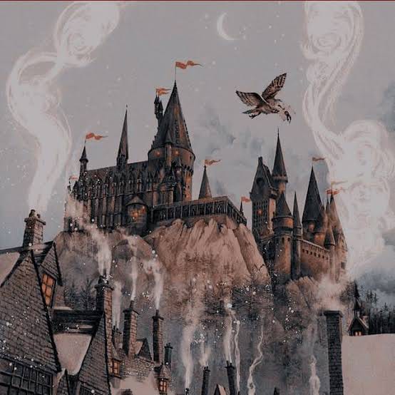 What's your Hogwarts house? Quiz Quotev