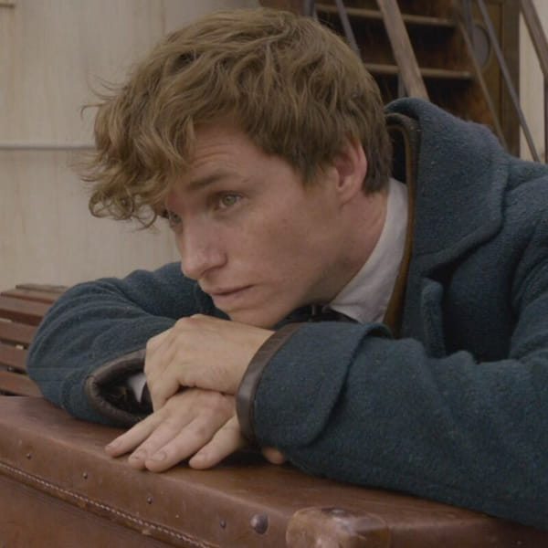 what does newt scamander think of you? Quiz Quotev
