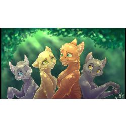 What's your favourite Warrior Cat? : r/WarriorCats