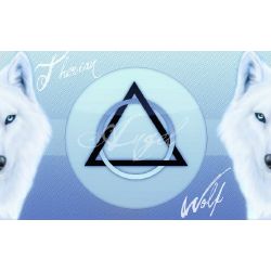 Are you A Therian?  Animal quiz, Beautiful wolves, Cartoon wolf