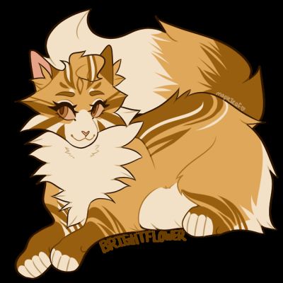 Who's Mates with Who? (WARRIOR CATS) - Test | Quotev